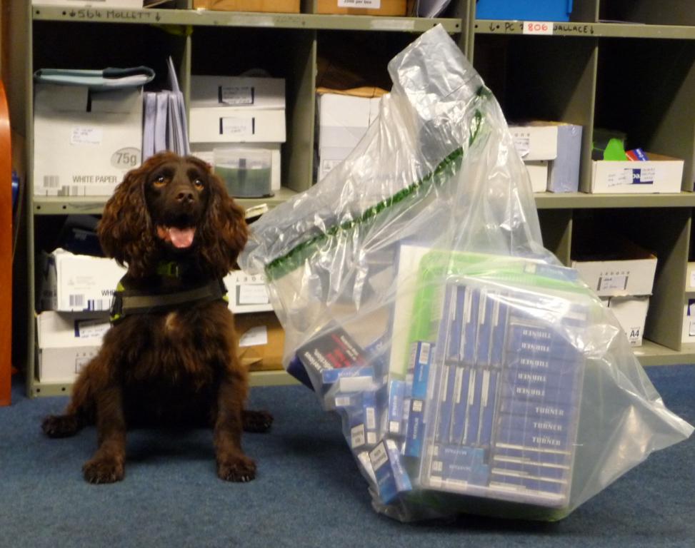Sniffer dog