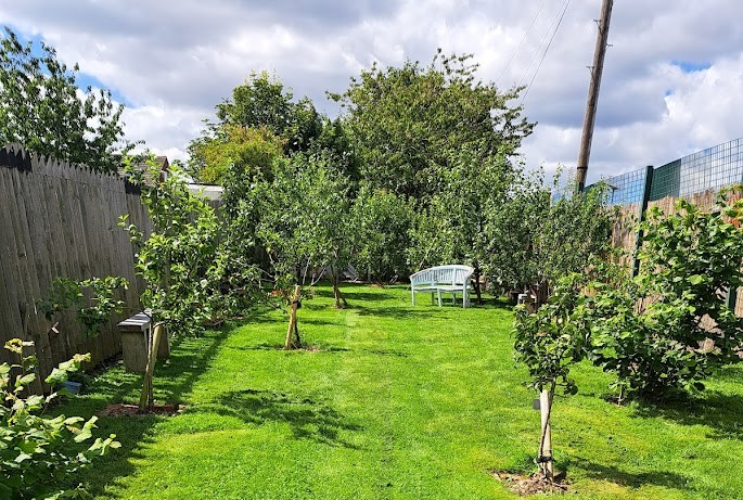 Whitley Bay Community orchard after planting