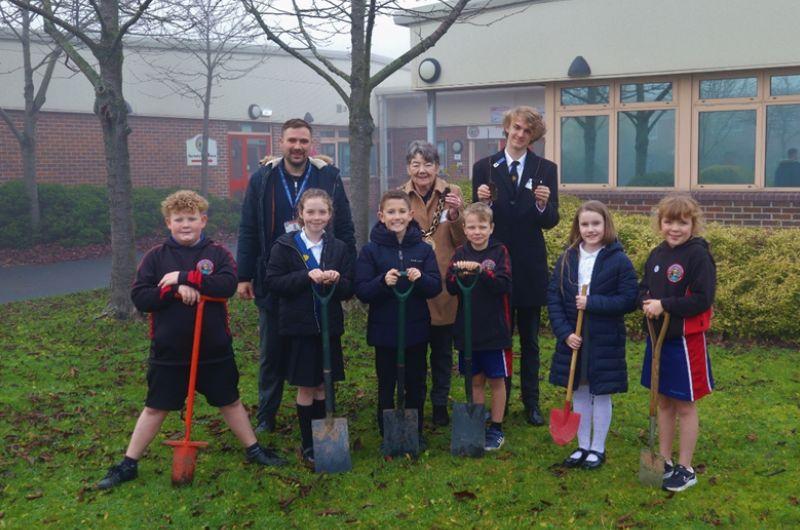 Tree planting
