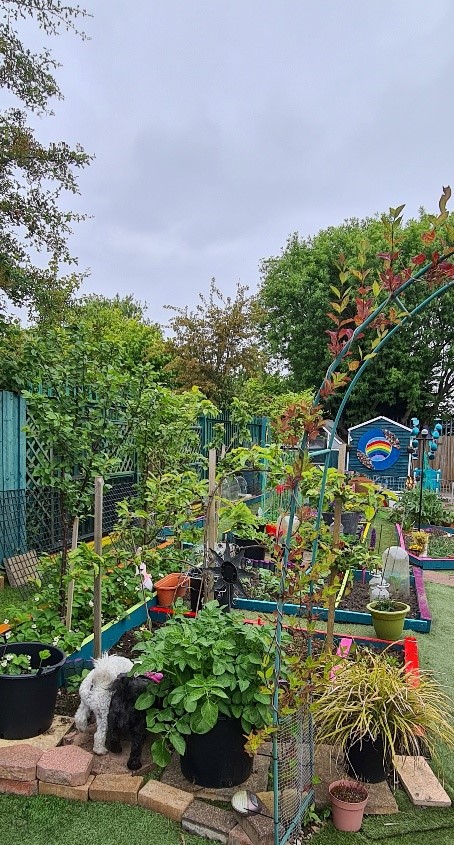 Alllotment Winner 2023 Alllotment Winner 2023