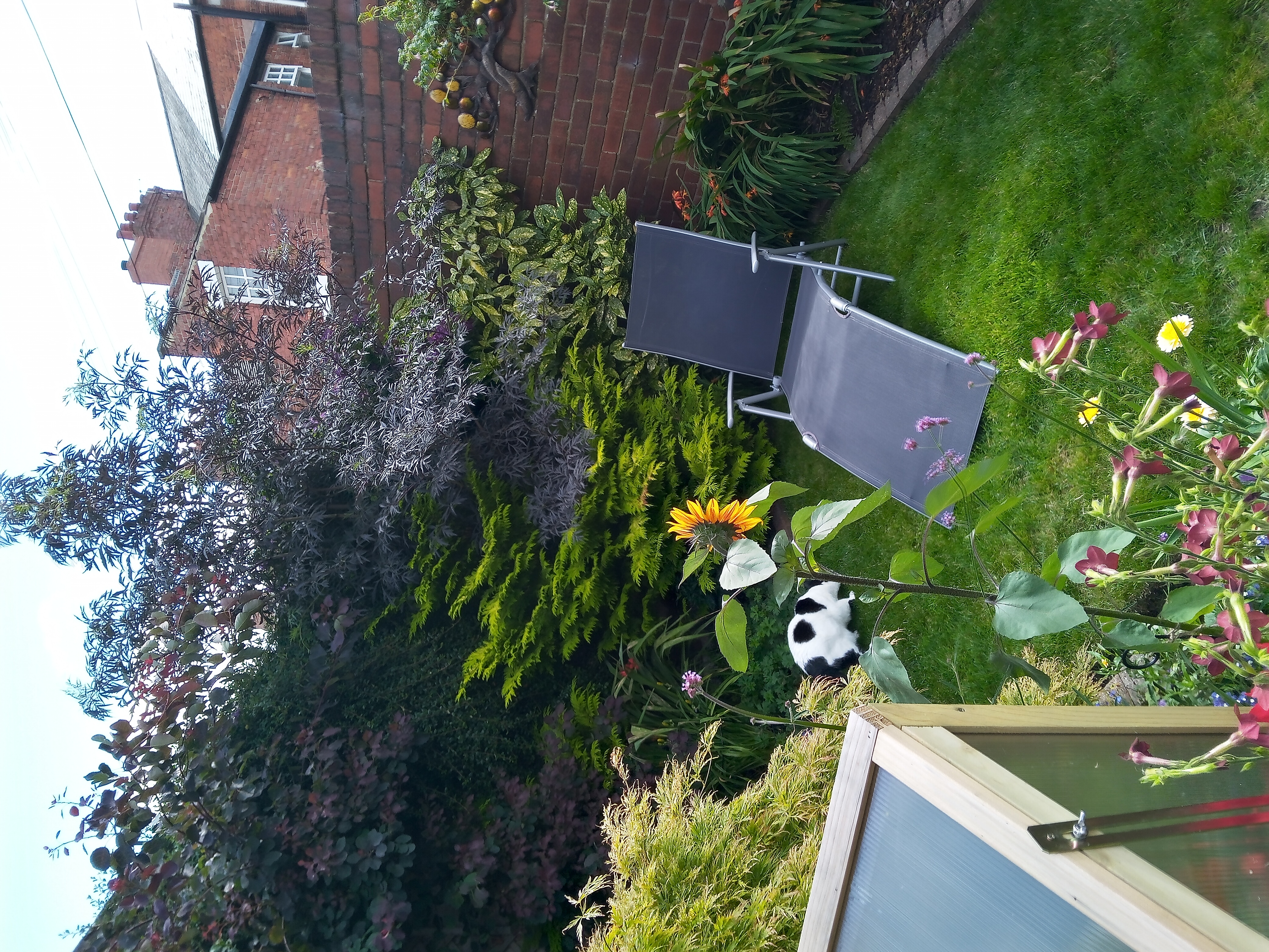 Small Garden Winner - 2022 Small Garden Winner - 2022