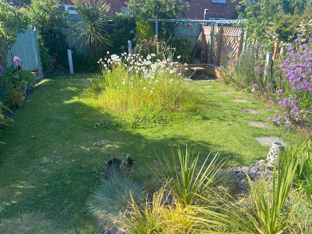 Small Garden Winner 2023 Small Garden Winner 2023